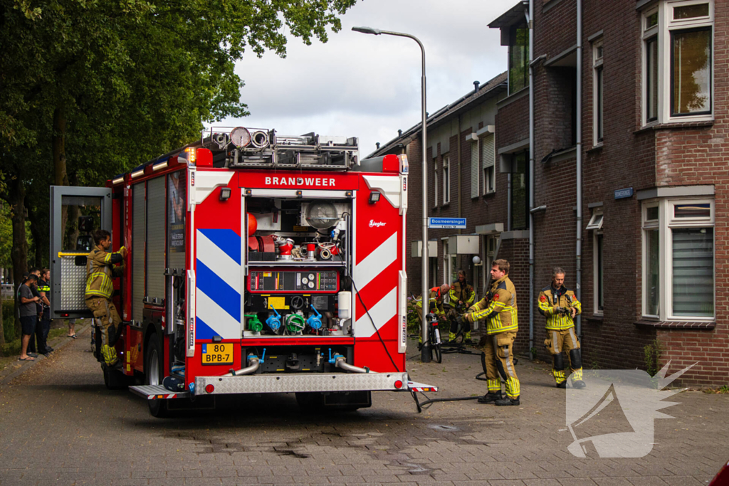 Kittens en kat gered bij brand in woning