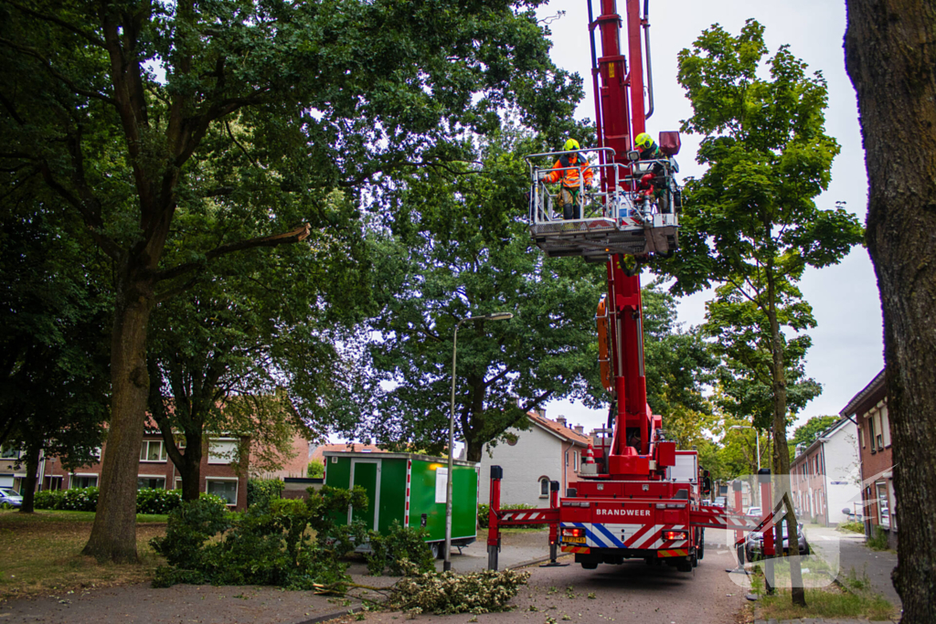 Brandweer verwijdert loshangende takken