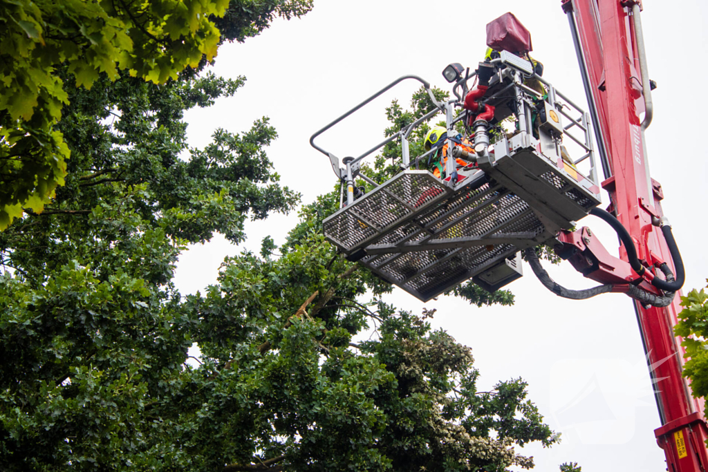 Brandweer verwijdert loshangende takken