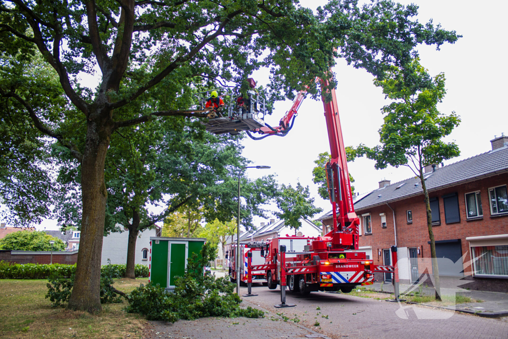 Brandweer verwijdert loshangende takken