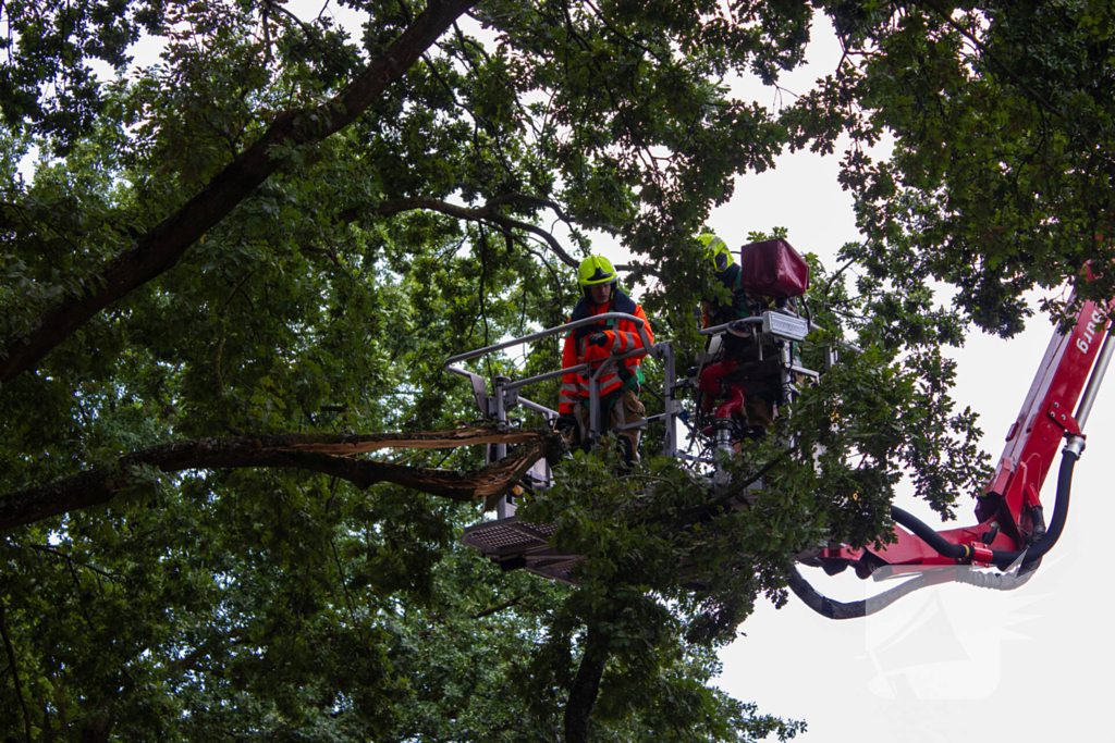 Brandweer verwijdert loshangende takken
