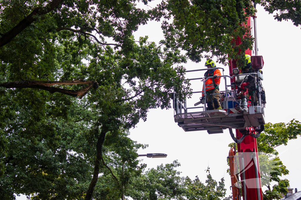 Brandweer verwijdert loshangende takken