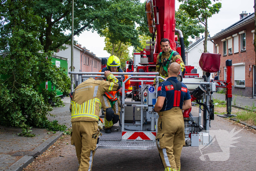 Brandweer verwijdert loshangende takken