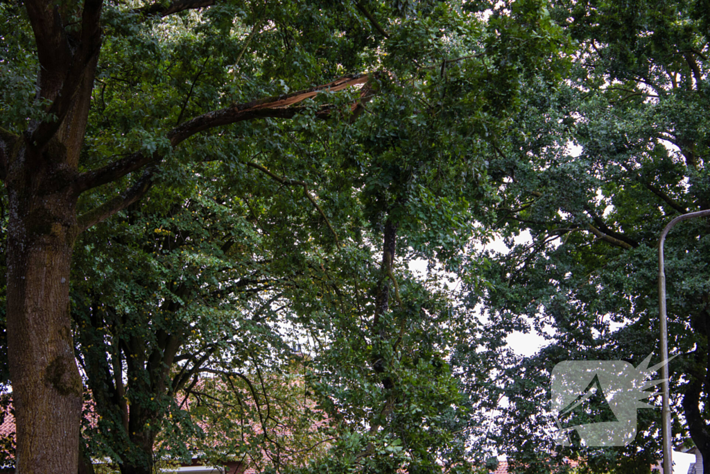 Brandweer verwijdert loshangende takken