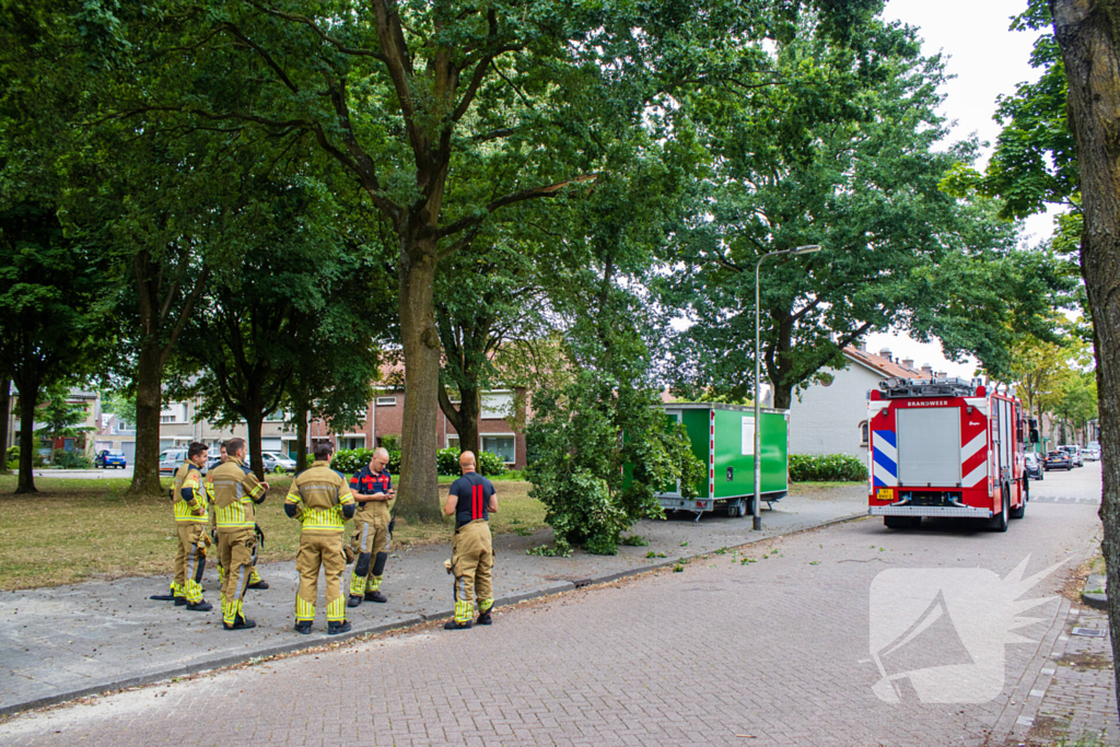 Brandweer verwijdert loshangende takken