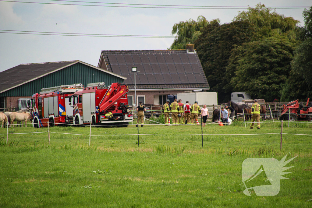 Paard in het water gered door brandweer