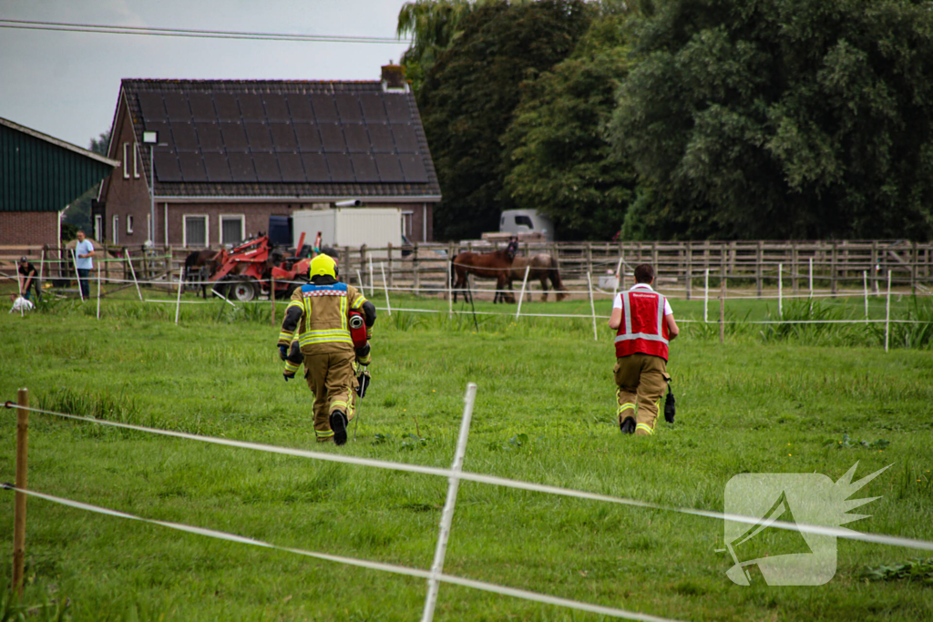 Paard in het water gered door brandweer
