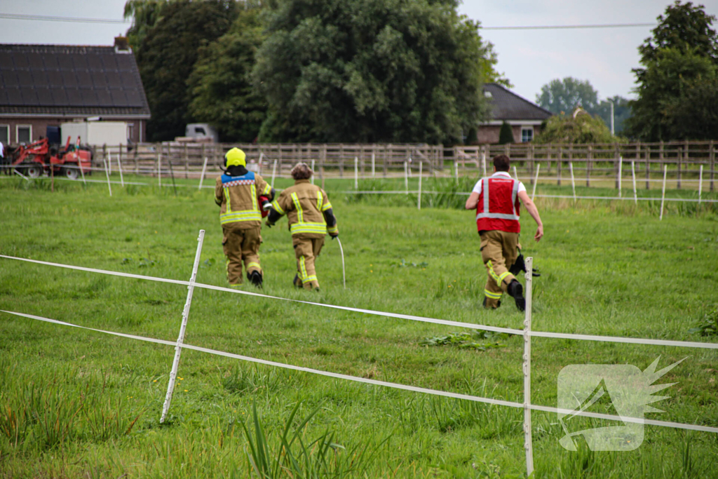 Paard in het water gered door brandweer