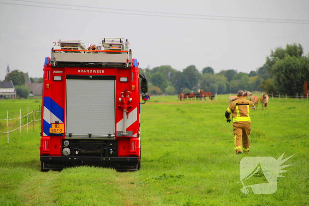 Paard in het water gered door brandweer
