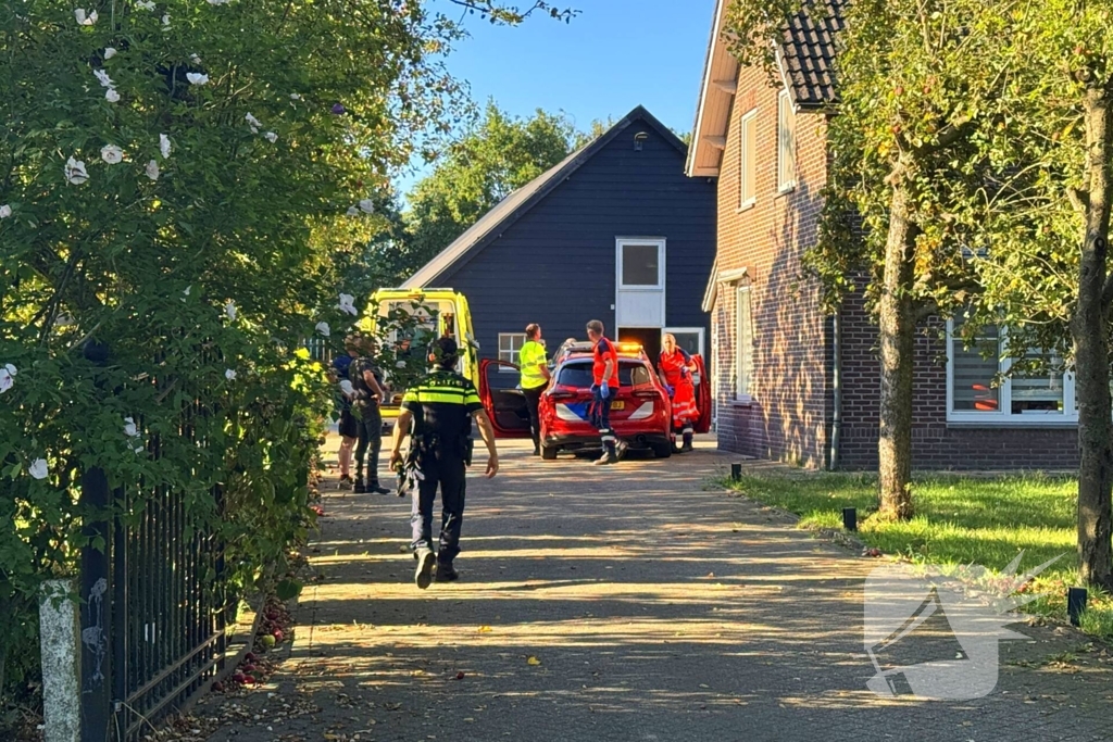 Man raakt gewond door paard tijdens verzorging