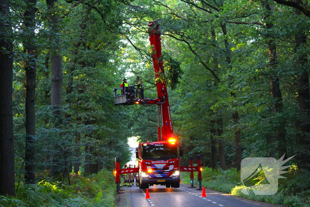 Hoogwerker in storing tijdens verwijderen tak