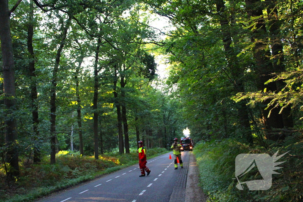 Hoogwerker in storing tijdens verwijderen tak