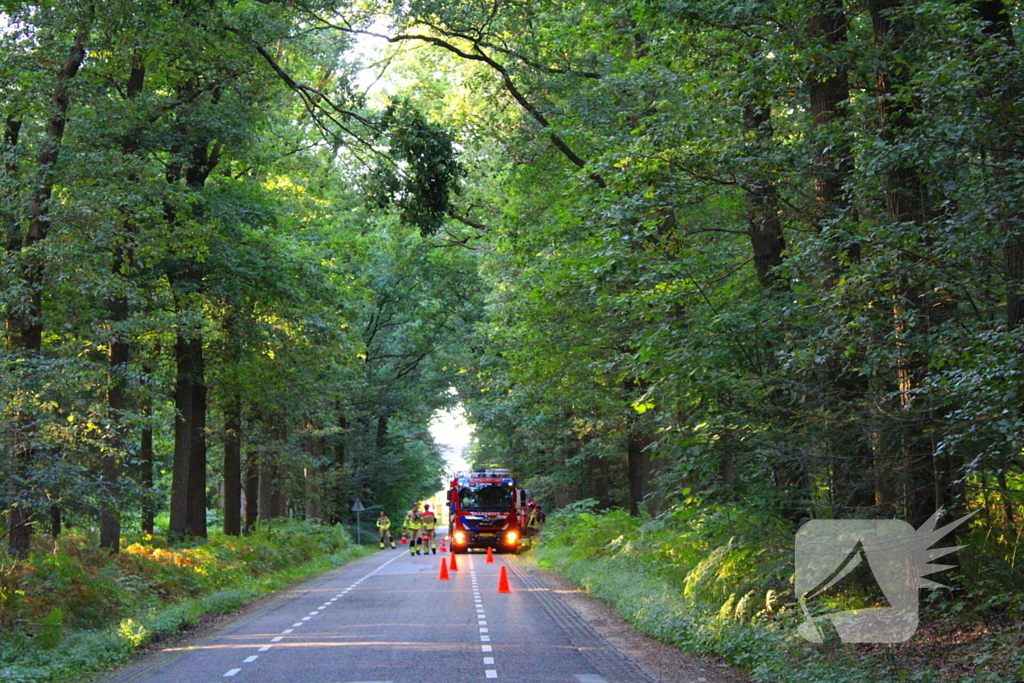 Hoogwerker in storing tijdens verwijderen tak