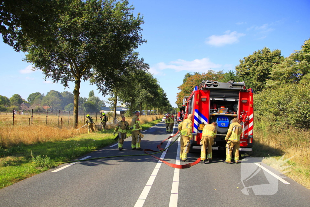 Paarden in veiligheid na bermbrand