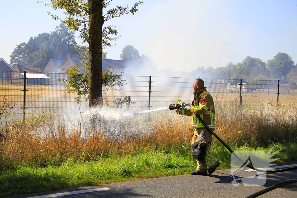 Paarden in veiligheid na bermbrand