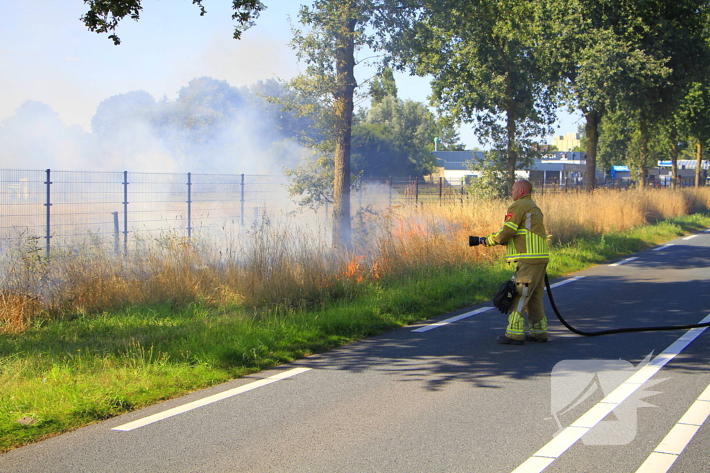Paarden in veiligheid na bermbrand