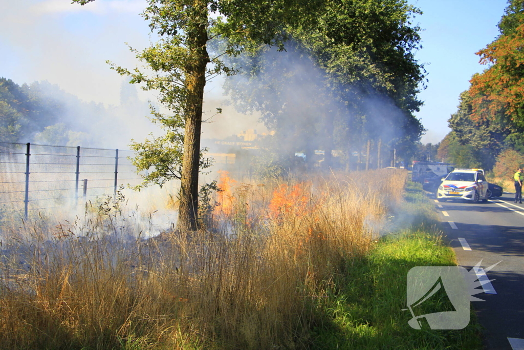 Paarden in veiligheid na bermbrand