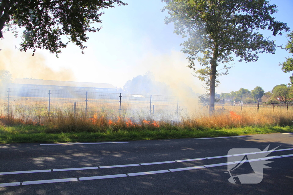 Paarden in veiligheid na bermbrand
