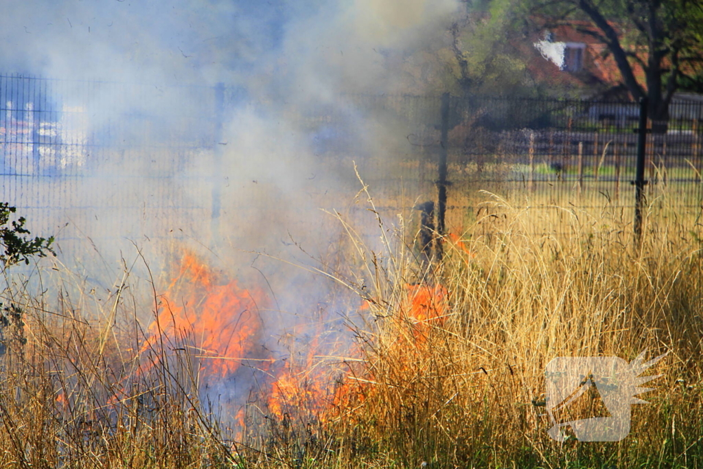 Paarden in veiligheid na bermbrand