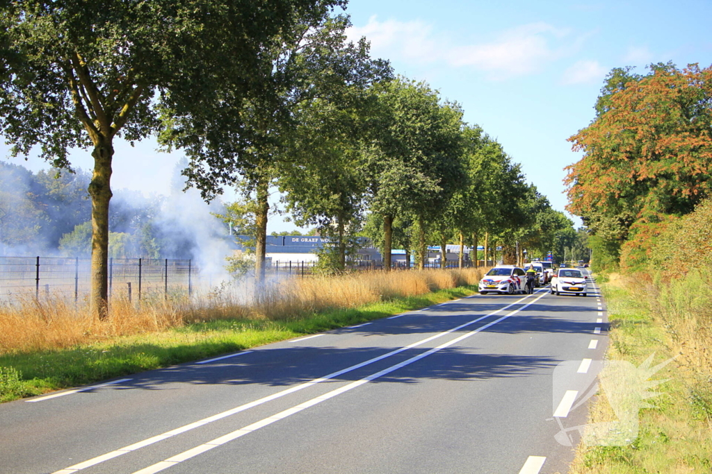 Paarden in veiligheid na bermbrand