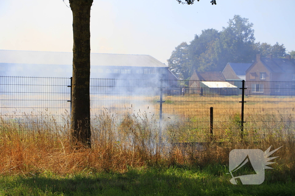 Paarden in veiligheid na bermbrand