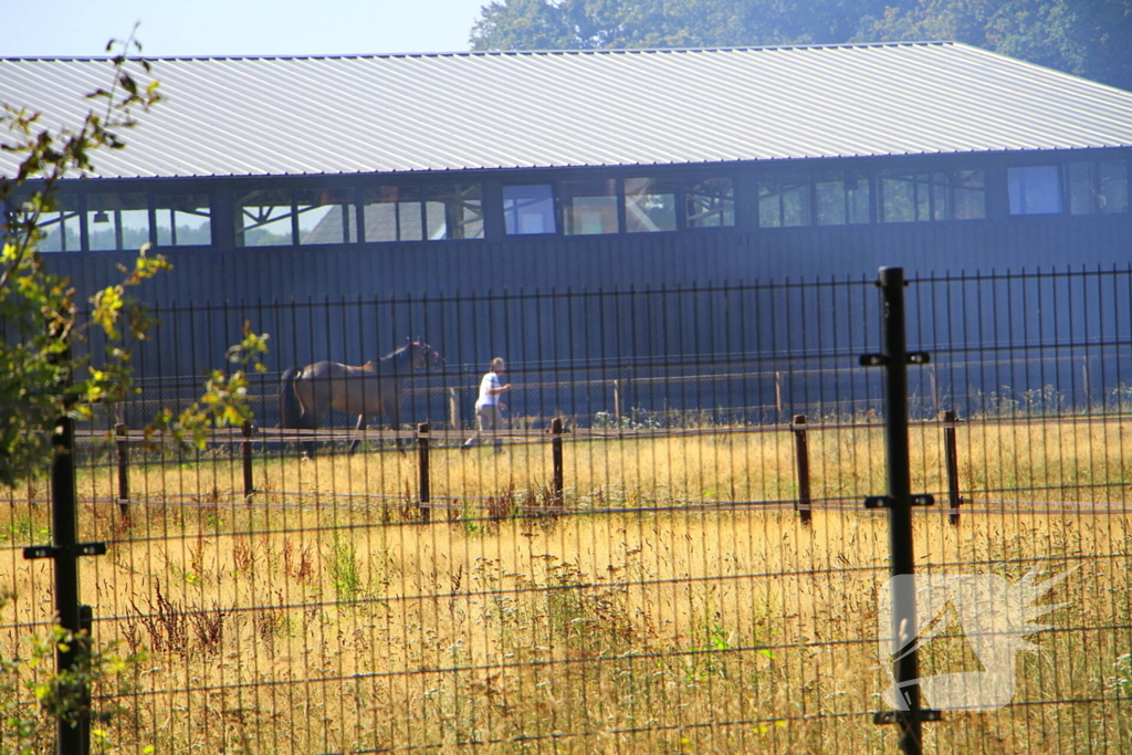 Paarden in veiligheid na bermbrand