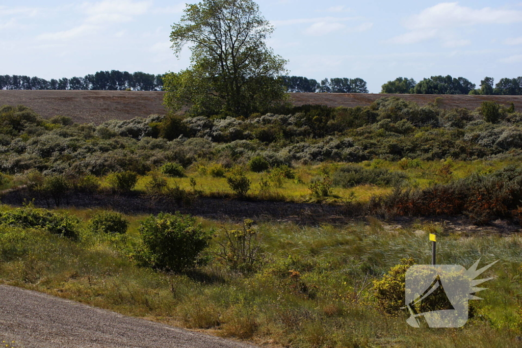 Brandweer groots ingezet na explosie