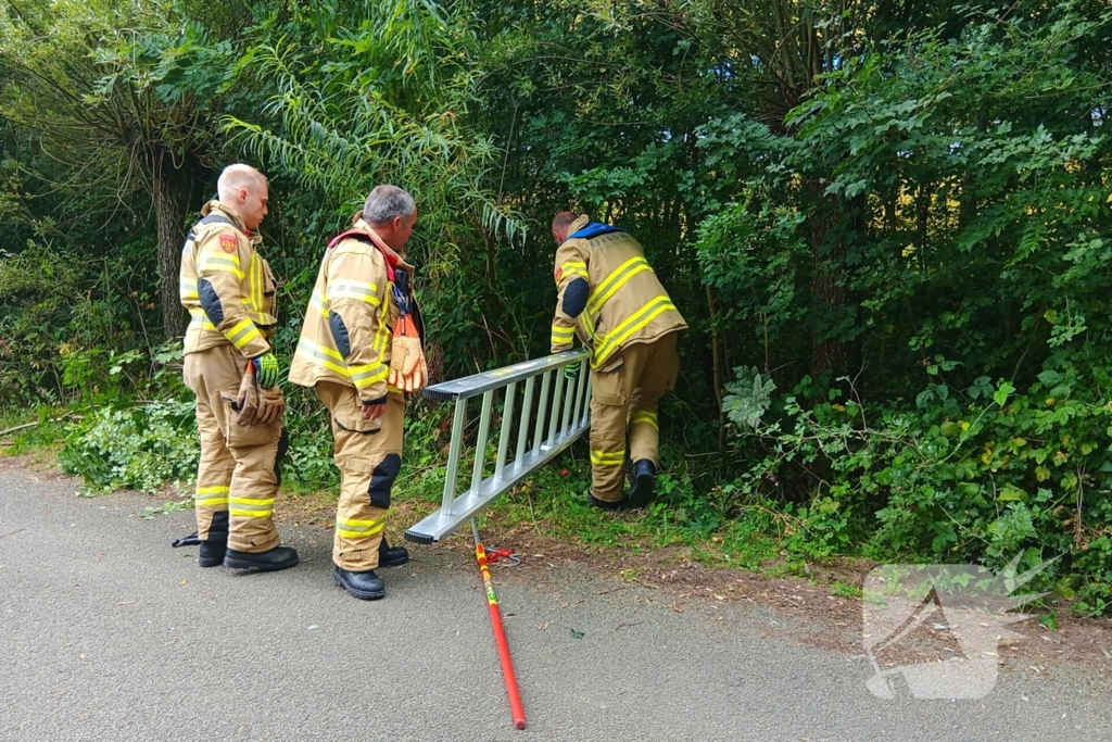 Schaap in nood gered door brandweer