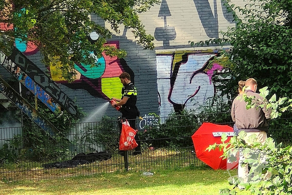 Politie grijpt in bij skatepark brand