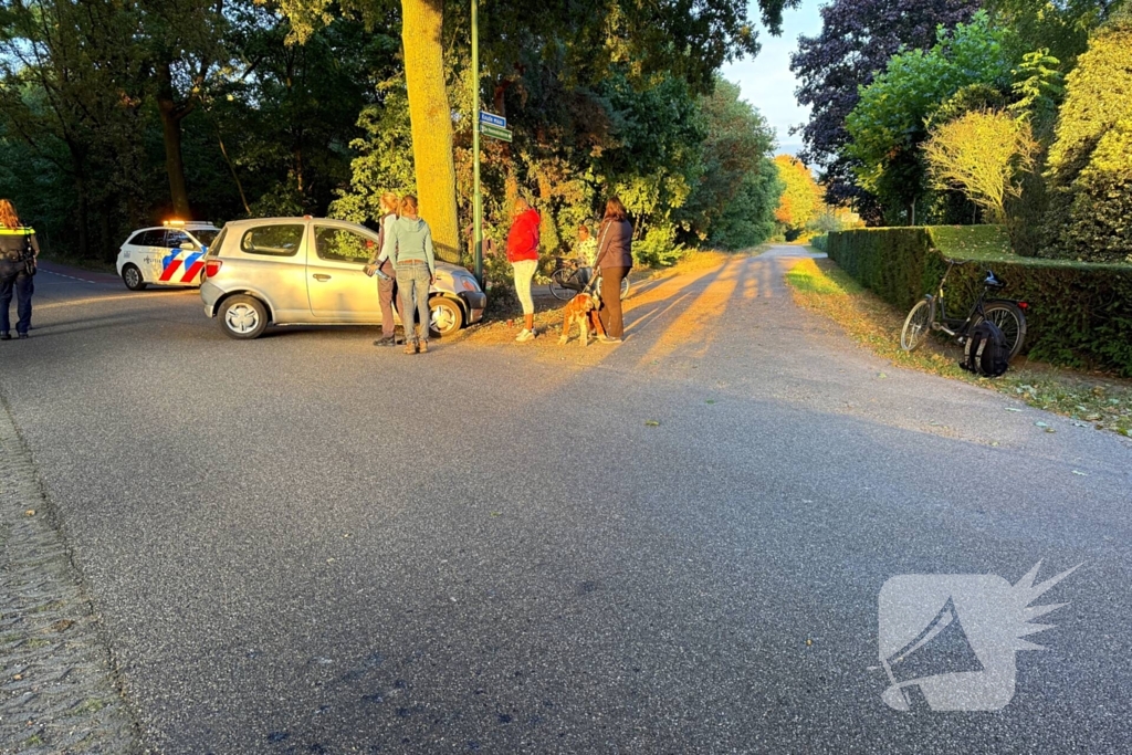 Auto botst tegen lantaarnpaal en fietser aangereden
