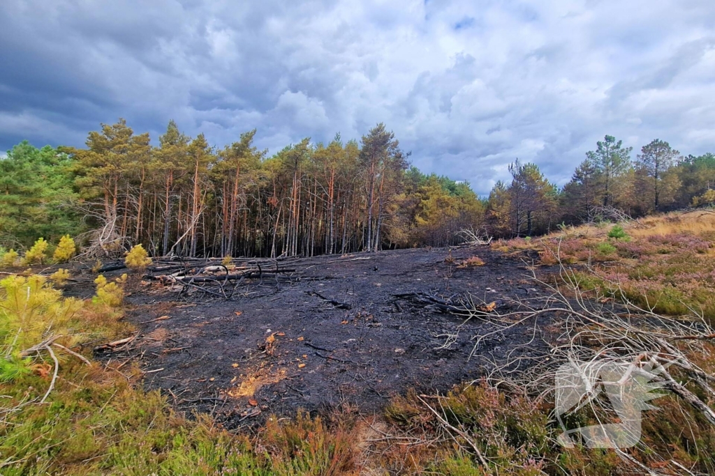 Heidebrand veroorzaakt forse schade