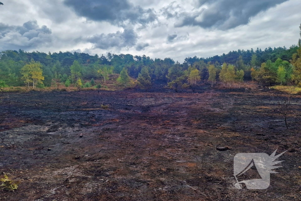 Heidebrand veroorzaakt forse schade