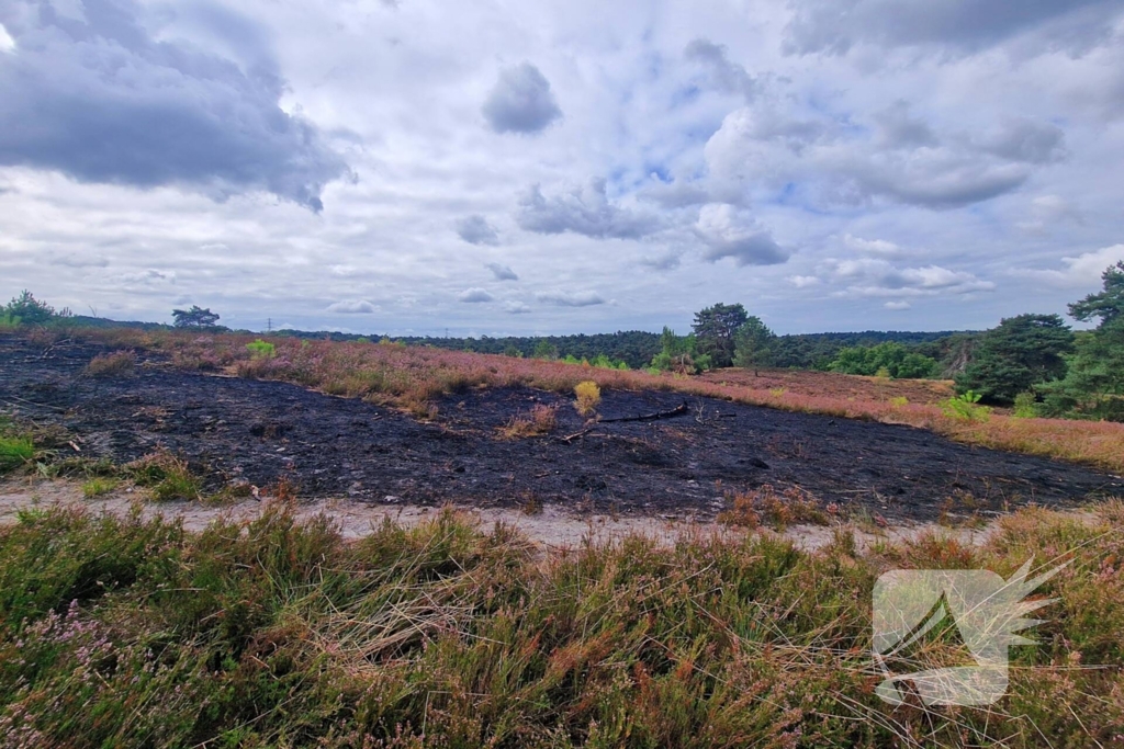 Heidebrand veroorzaakt forse schade