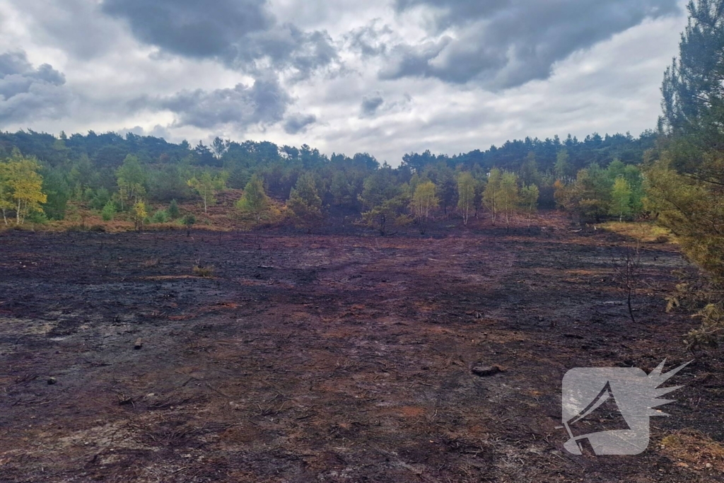 Heidebrand veroorzaakt forse schade
