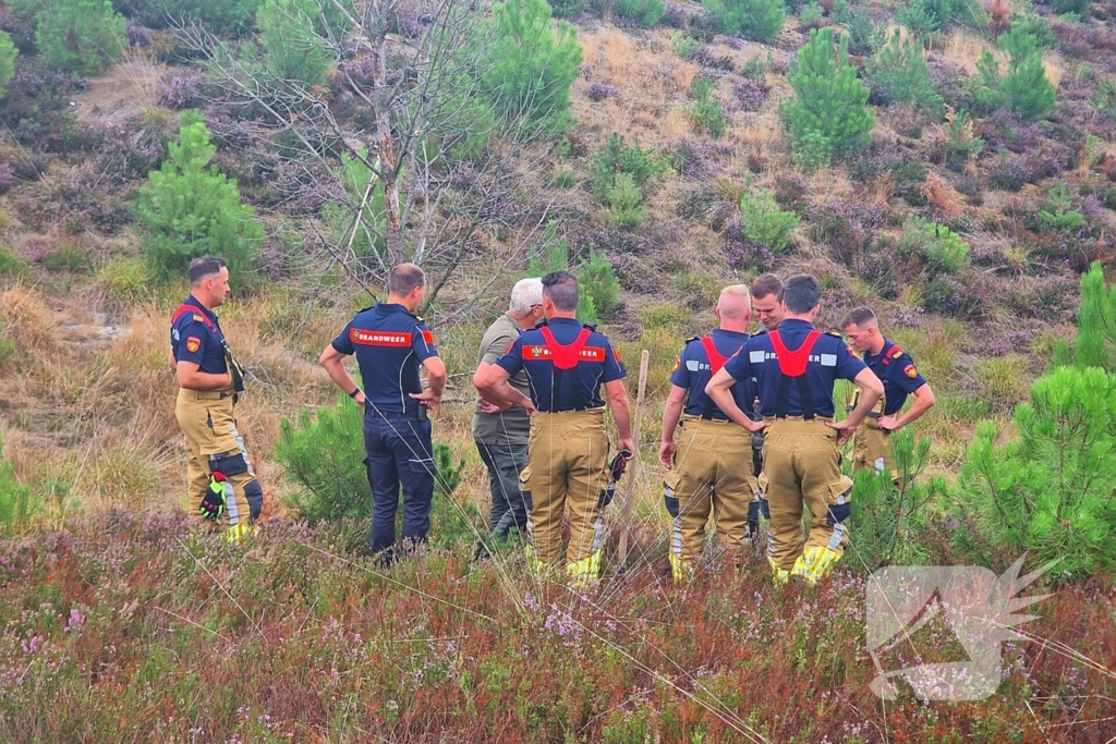 Heidebrand veroorzaakt forse schade