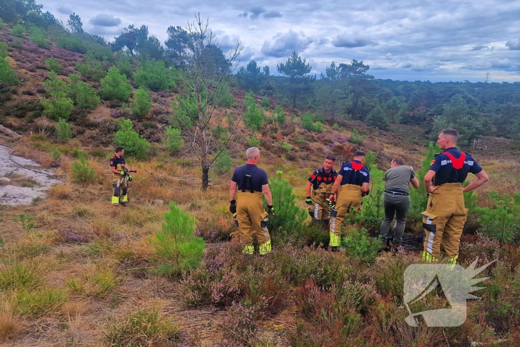 Heidebrand veroorzaakt forse schade