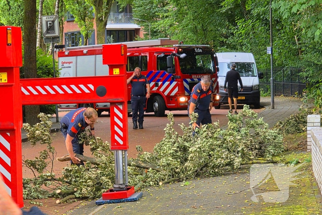 brandweer verwijdert gevaarlijke tak