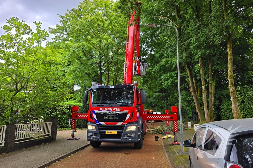 brandweer verwijdert gevaarlijke tak