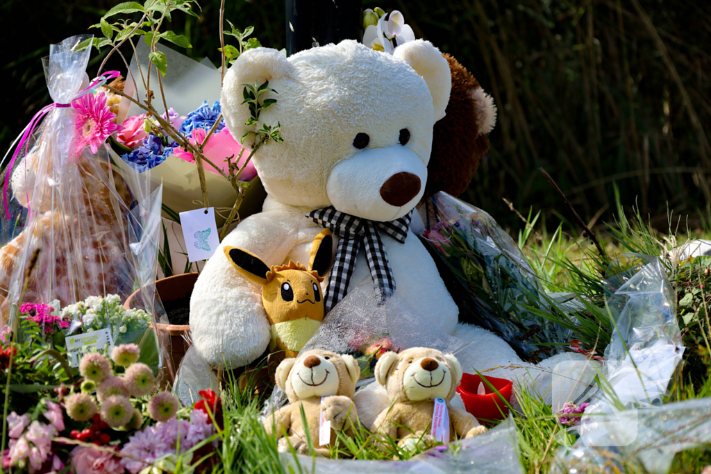 Herdenkingsplek voor Lisa groeit