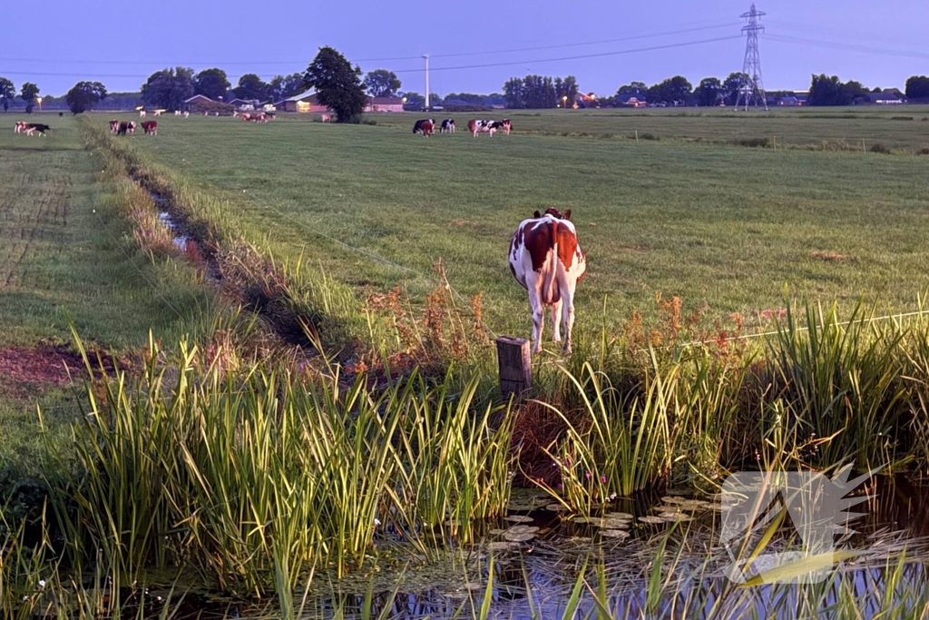 Reddingsactie door brandweer en boer