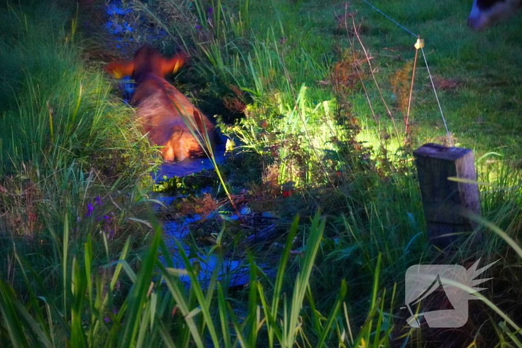 Reddingsactie door brandweer en boer