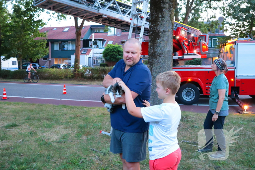 Kat Tigger uit boom gered