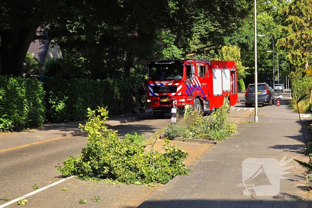 Brandweer verwijdert gevaarlijke hangende tak