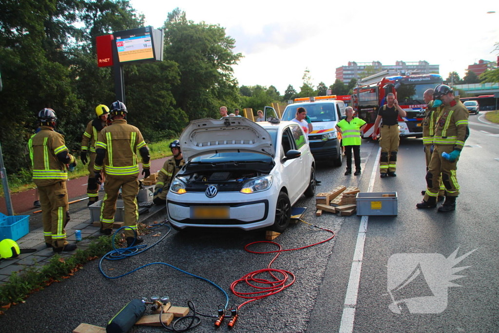 Kat bevrijdt uit motorcompartiment