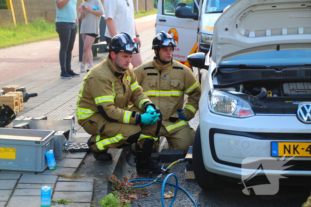 Kat bevrijdt uit motorcompartiment