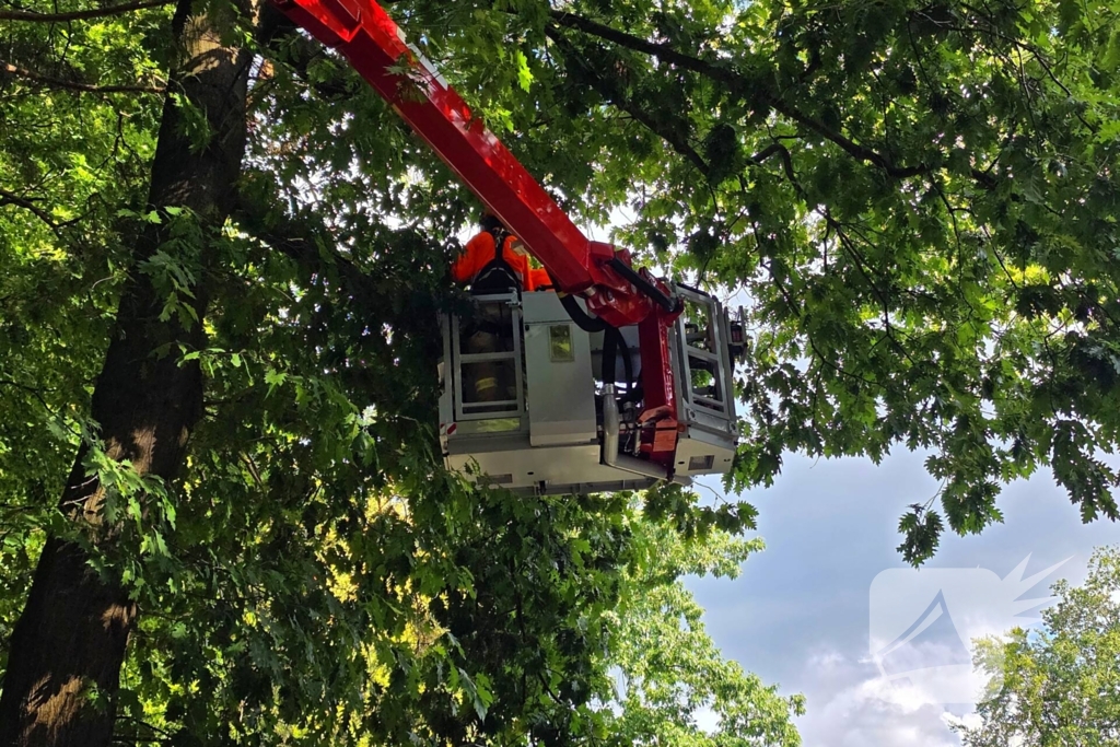 Boom valt op kinderwagen op schoolplein