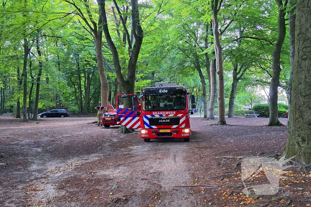 Boom valt op kinderwagen op schoolplein