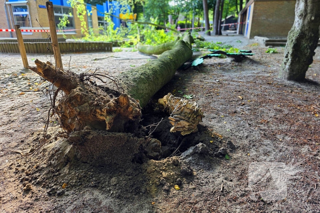 Boom valt op kinderwagen op schoolplein