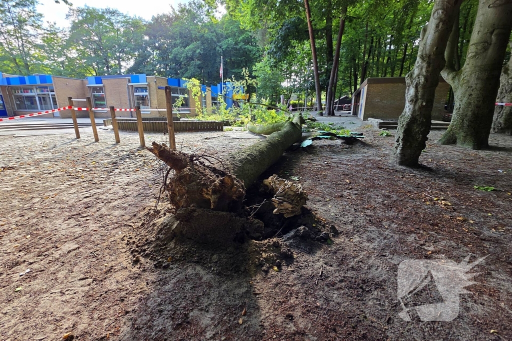 Boom valt op kinderwagen op schoolplein
