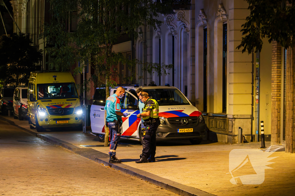 Vier aanhoudingen na vechtpartij